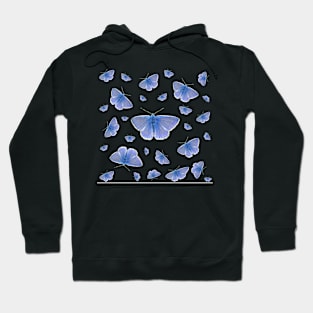 Common Blue  Polyommatus icarus Butterfly's design patern Hoodie